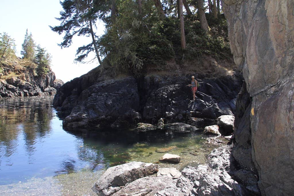 Wildlife Spotting Opportunities