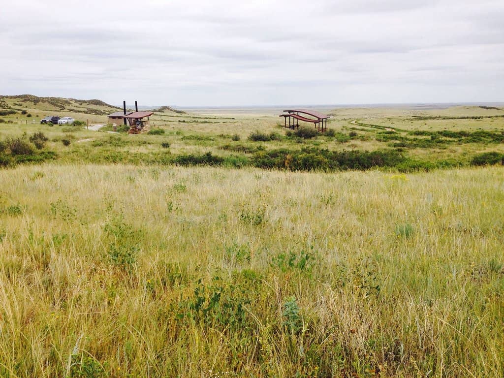 Wildlife Watching Opportunities