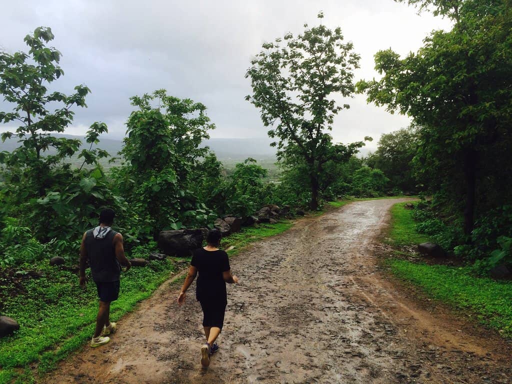 Monsoon Waterfalls