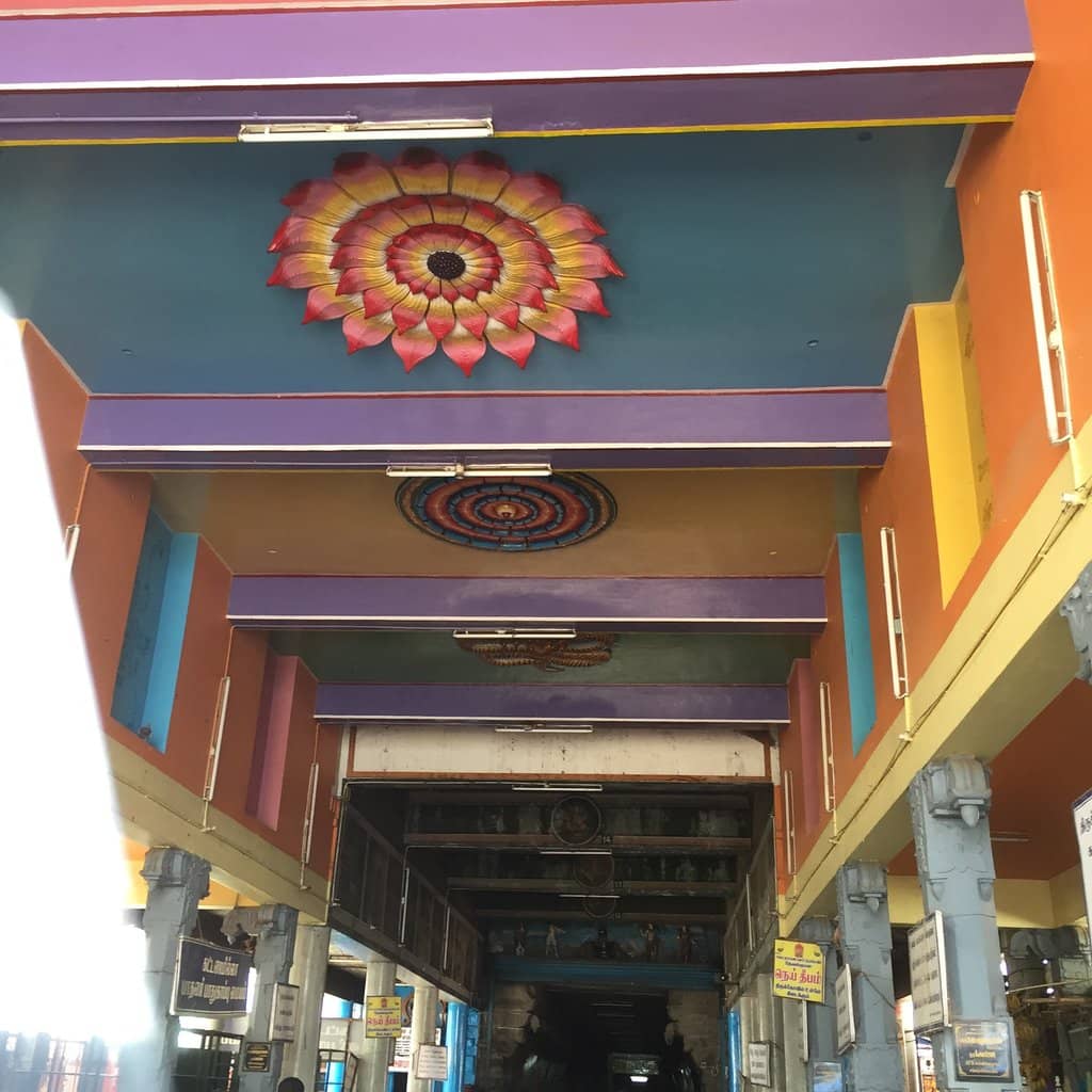 Highlights