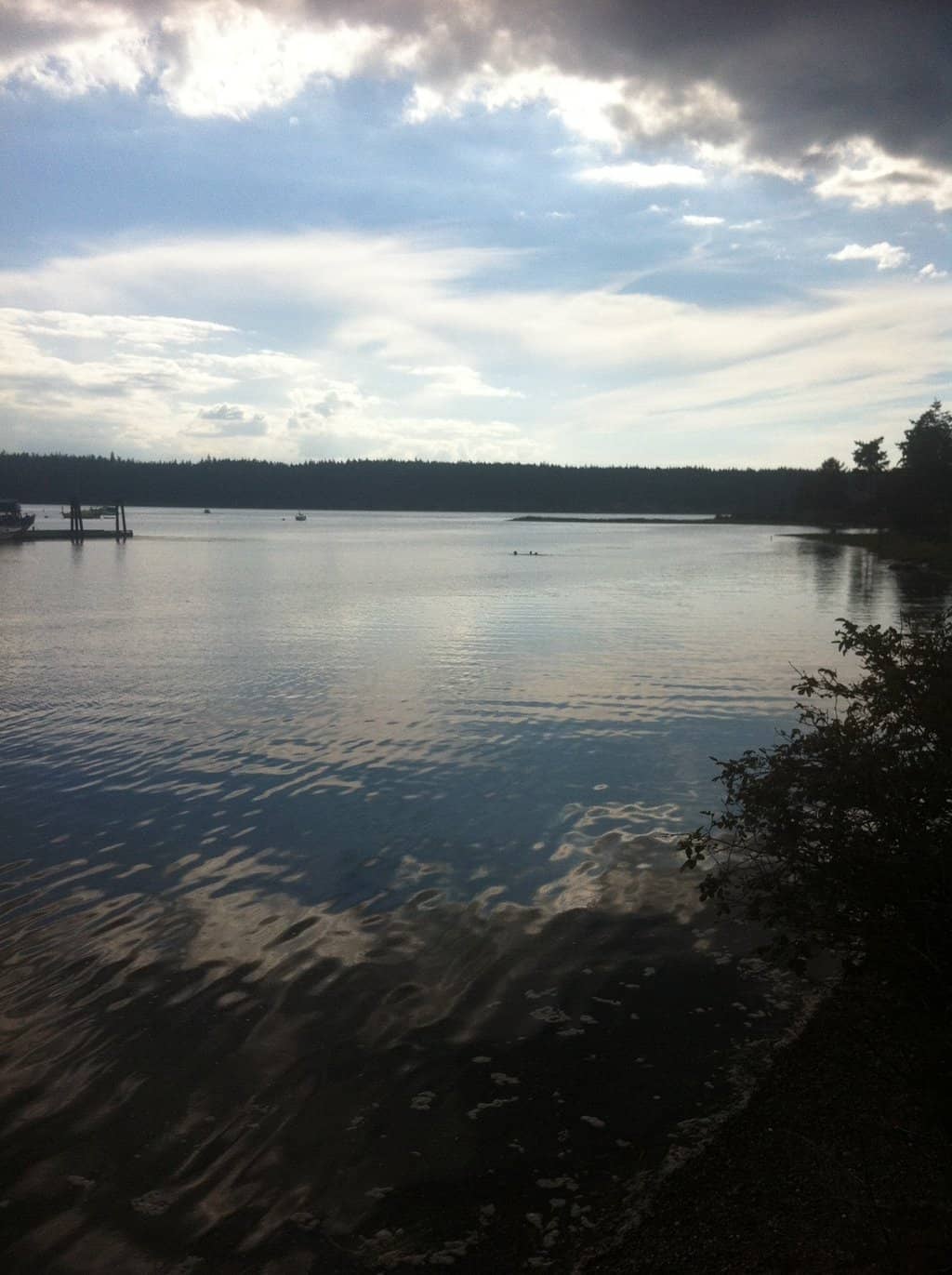 Picnic and Play Area