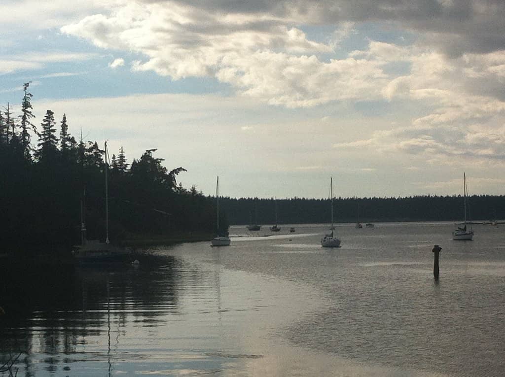 Calm Bay Waters