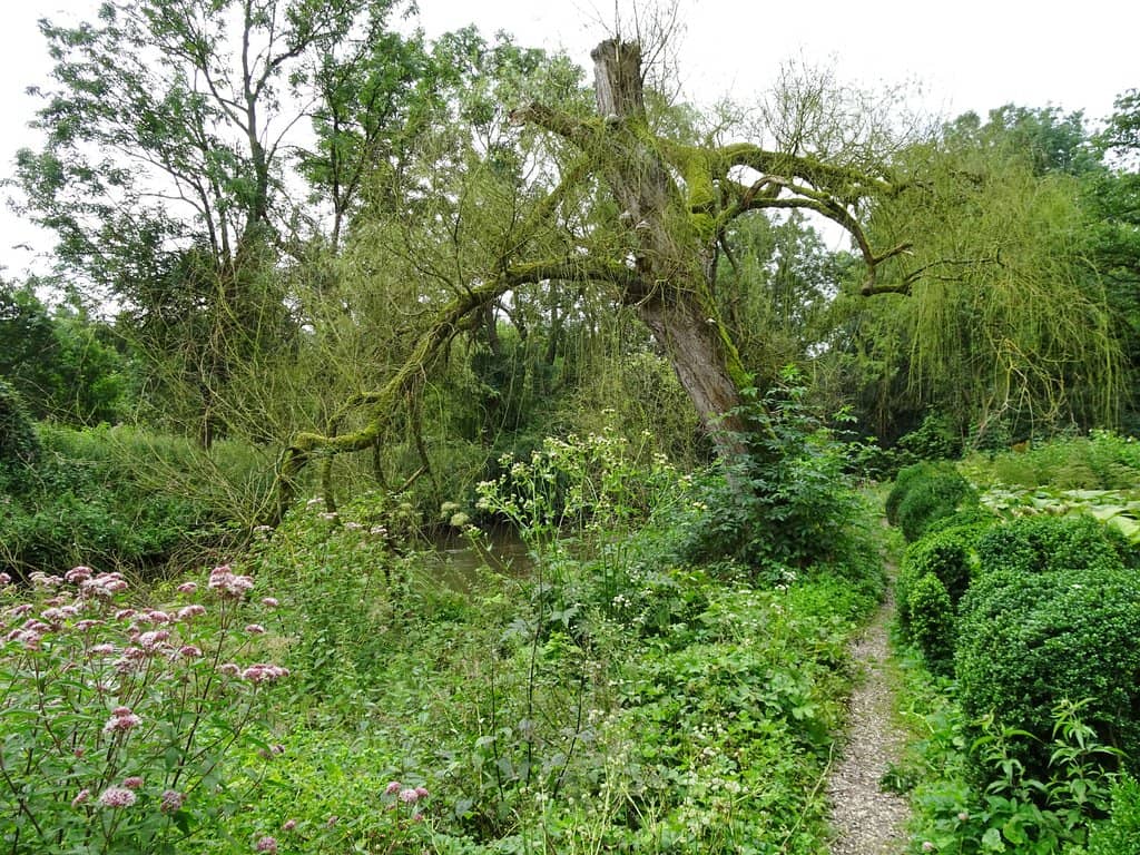 The Natural Landscape