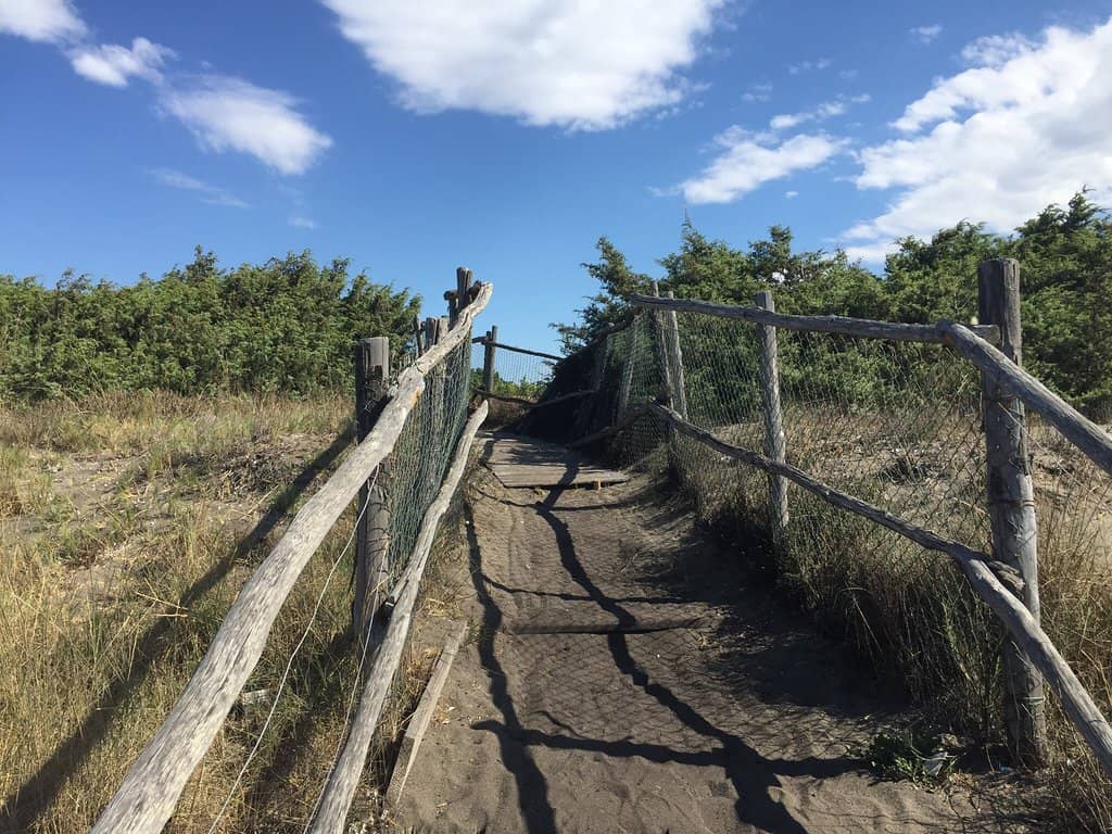 Vertical photo