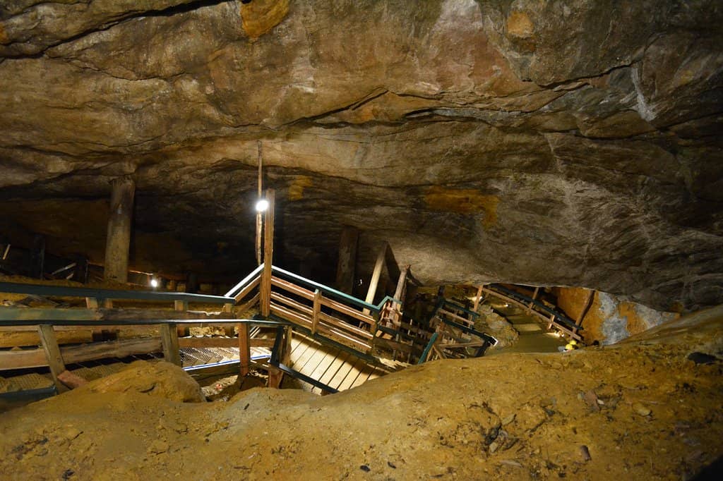 Informative Guided Tours