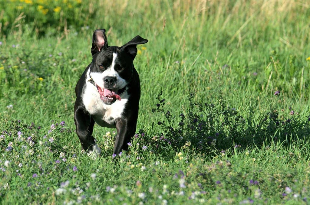 Scenic Pond and Trails