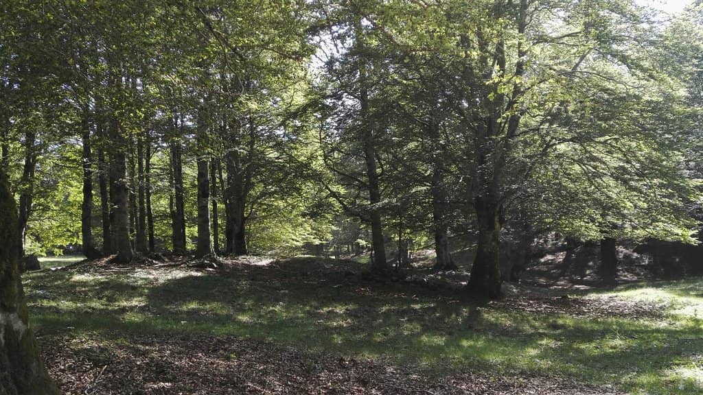 Trekking Trails