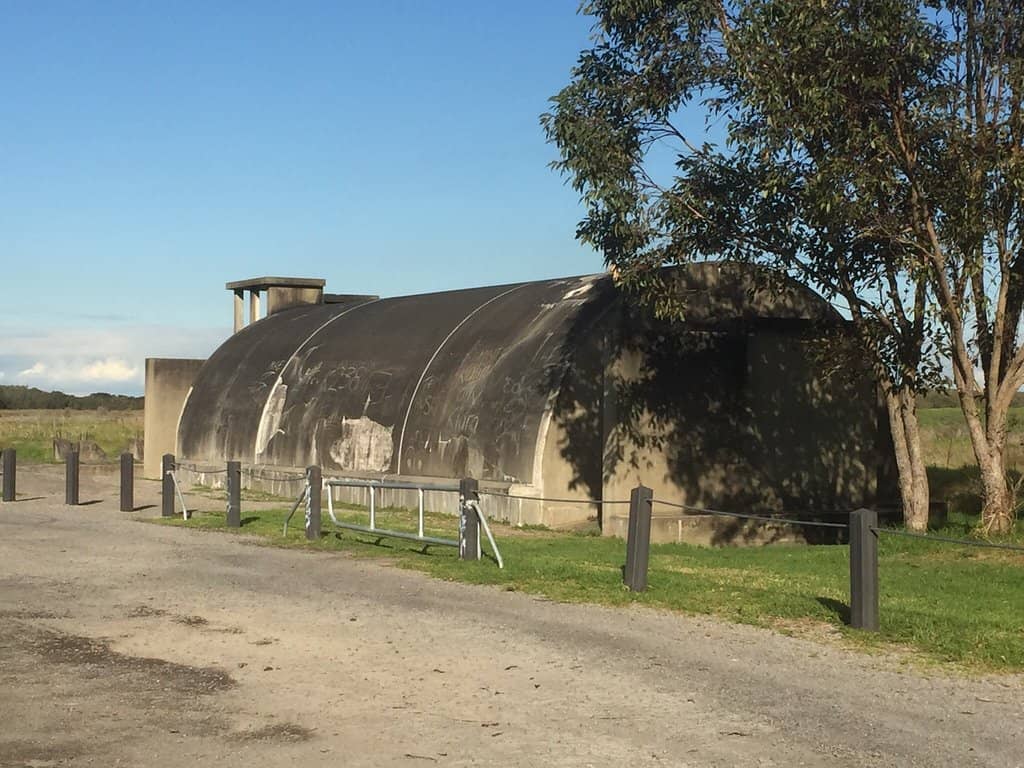 Tidal Forest Ecosystems