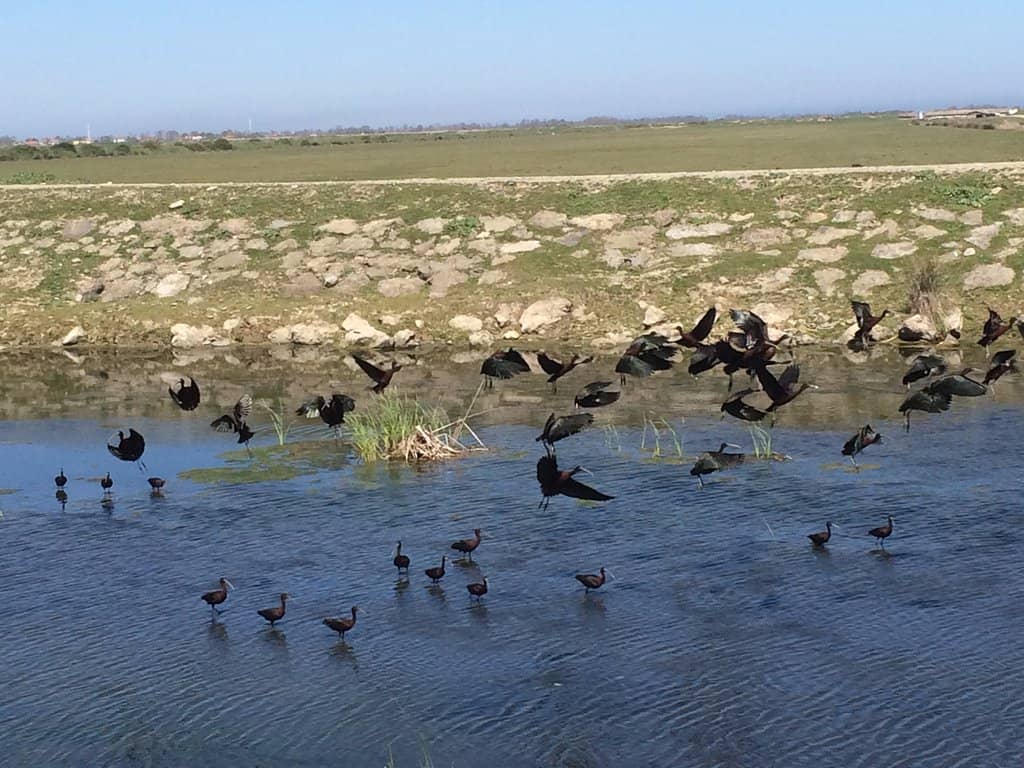 Scenic Delta Landscape