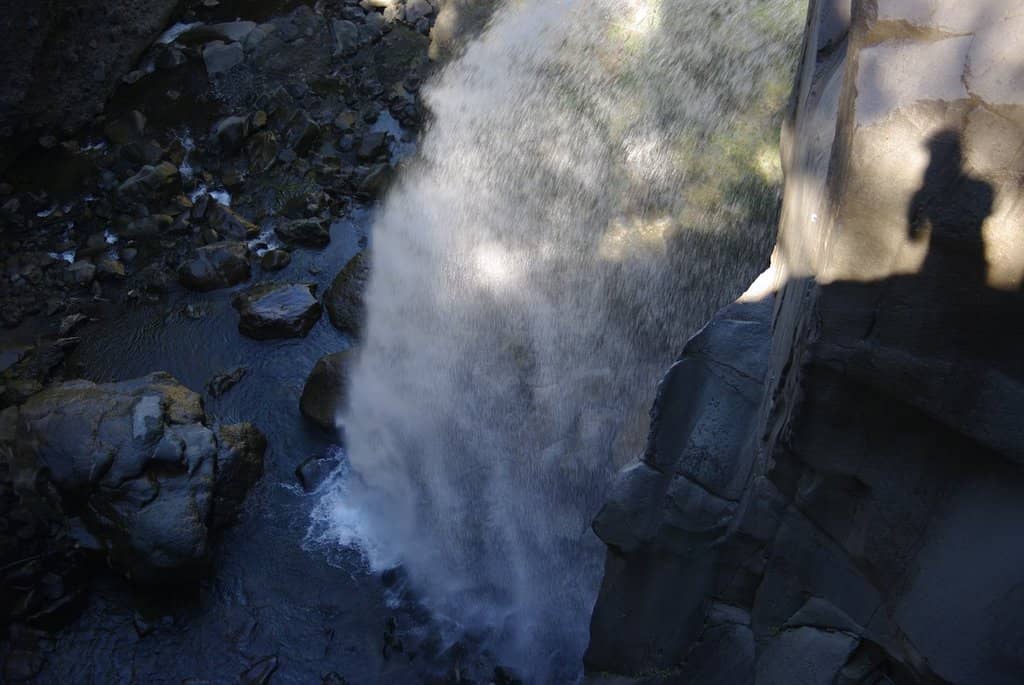 Vertical photo
