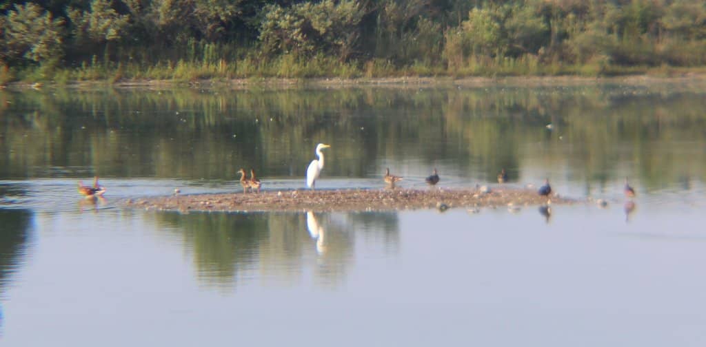 Peaceful Nature Trails
