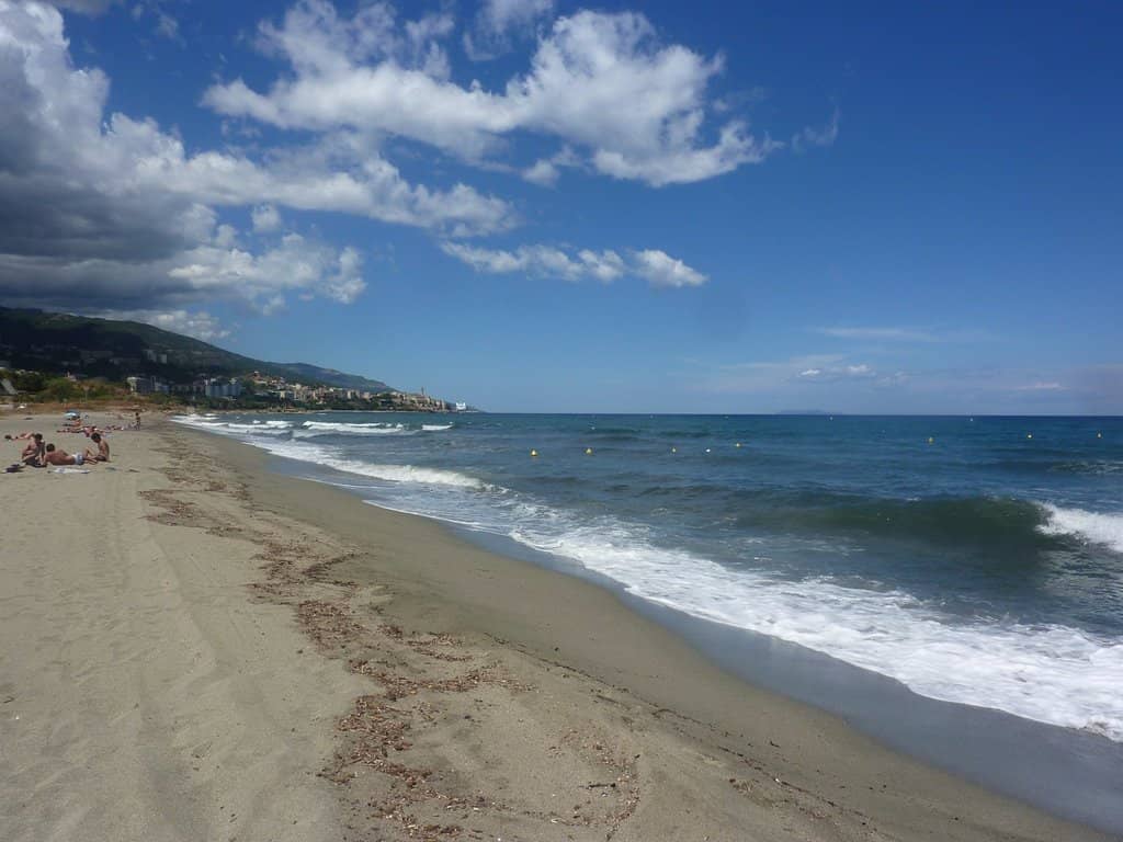 Free Mini-Bus Service