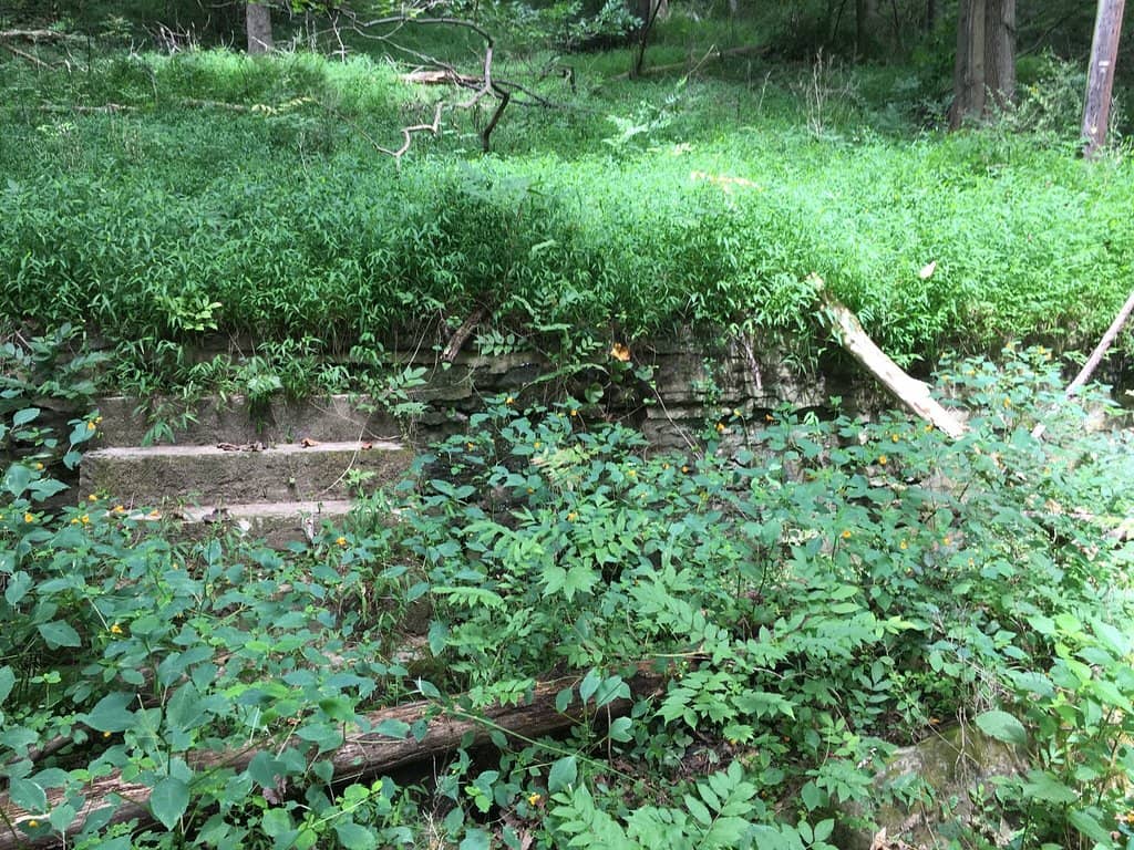 Patapsco River Trails