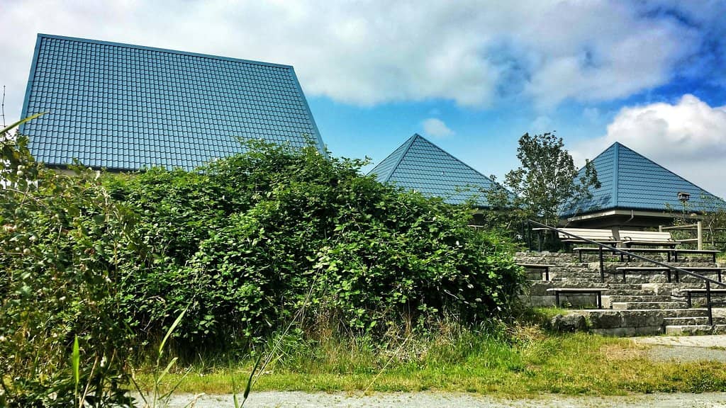 Scenic Walking Trails