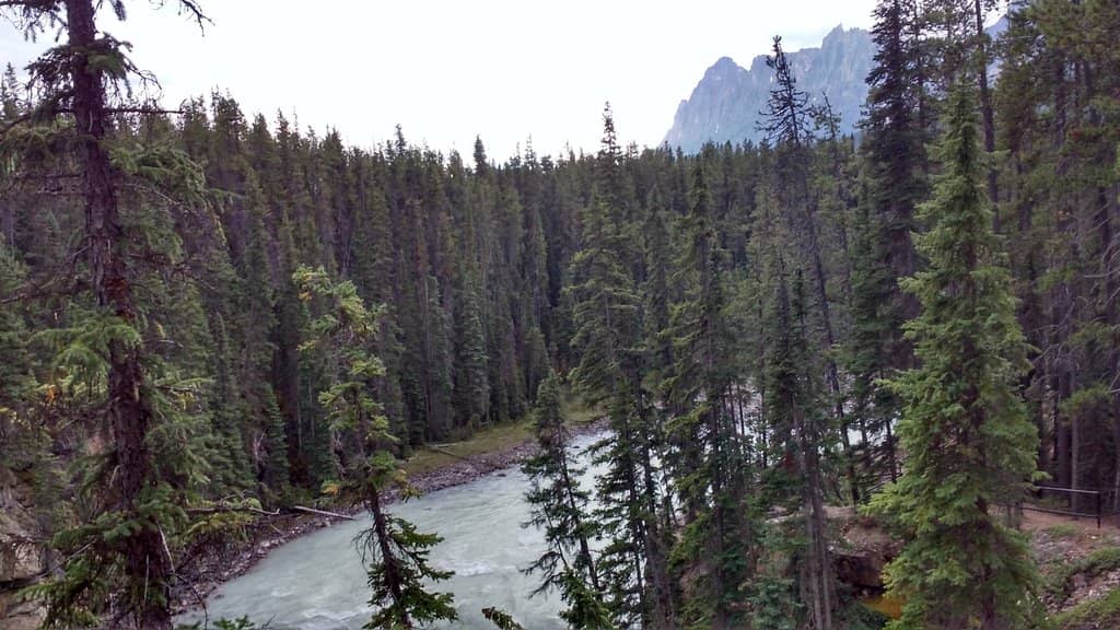 Lower Sunwapta Falls