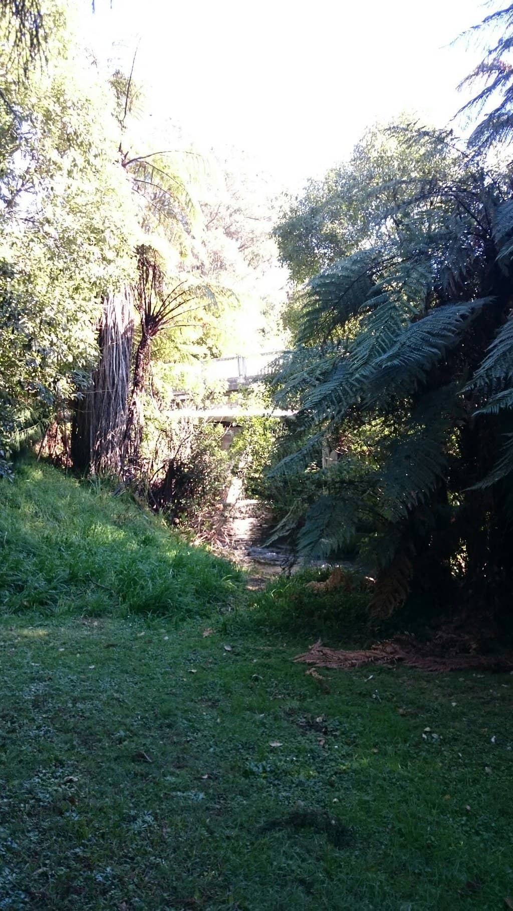 Sculpture Trail