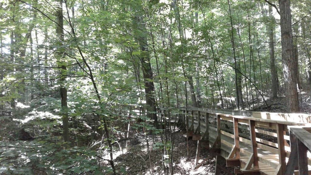 Maple Syrup Festival