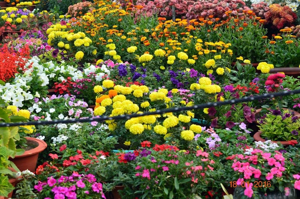 Children's Play Area