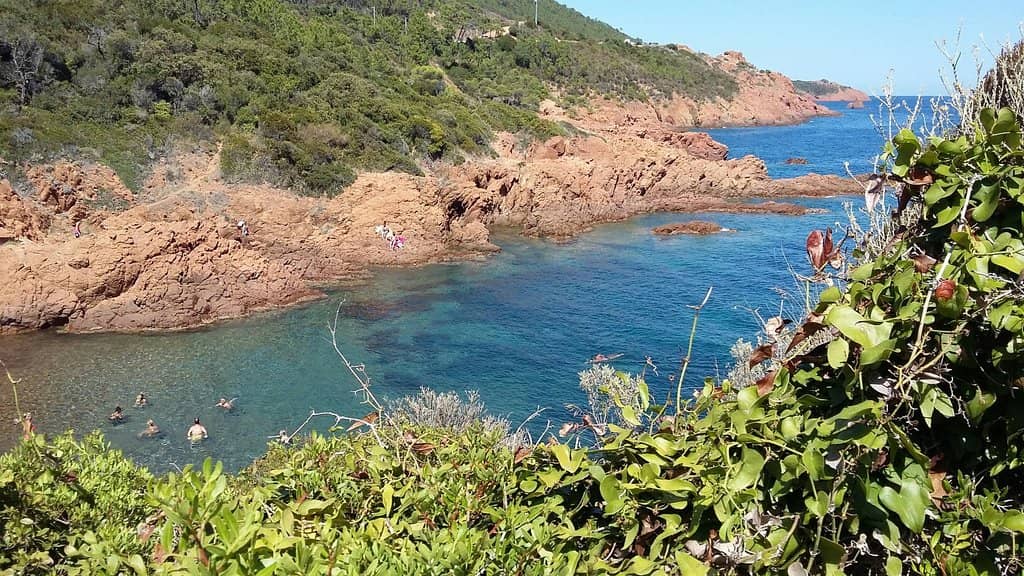 Snorkeling Paradise