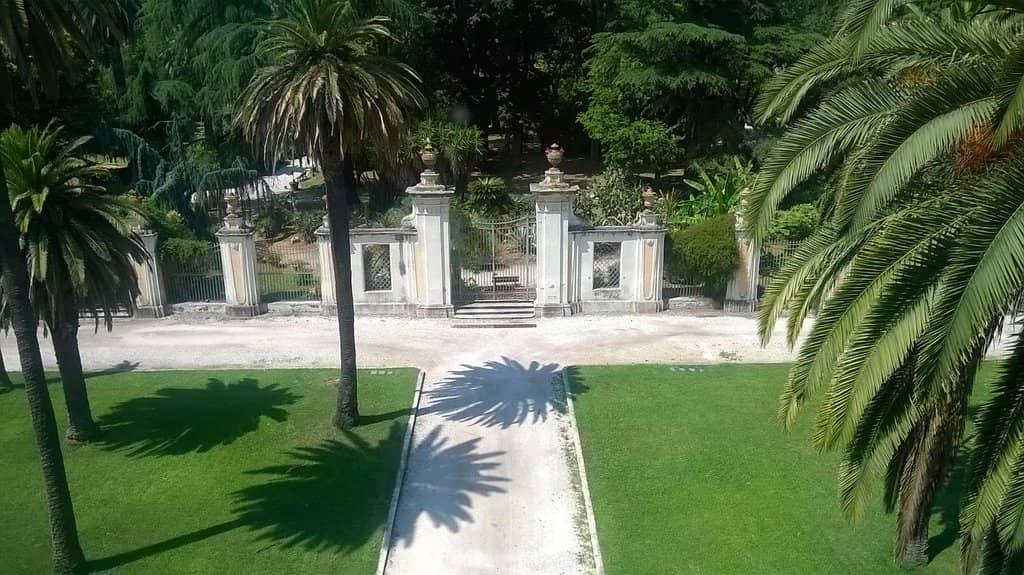 Vertical photo
