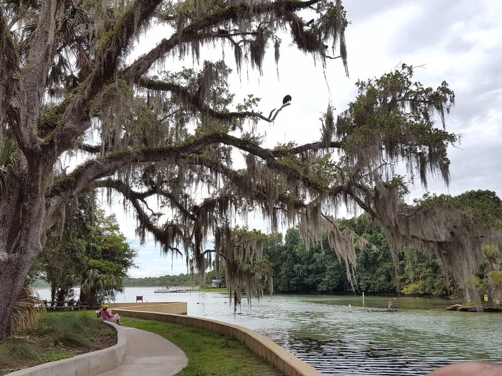 Abundant Aquatic Life