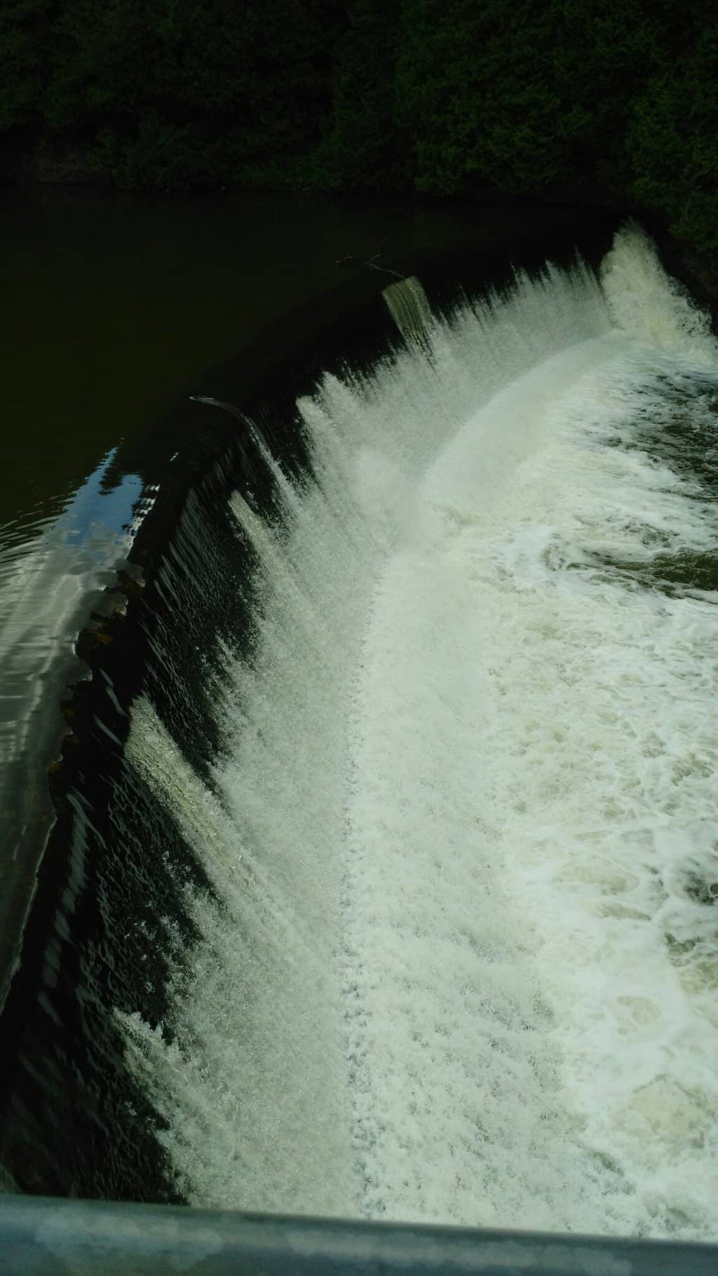 Vertical photo