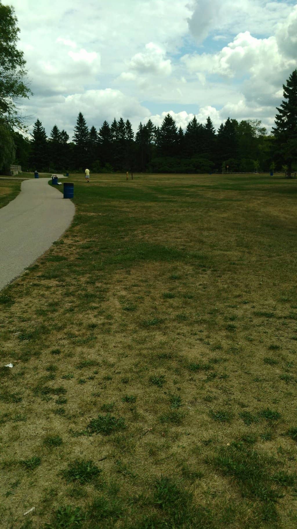 Marvelous Bridge View