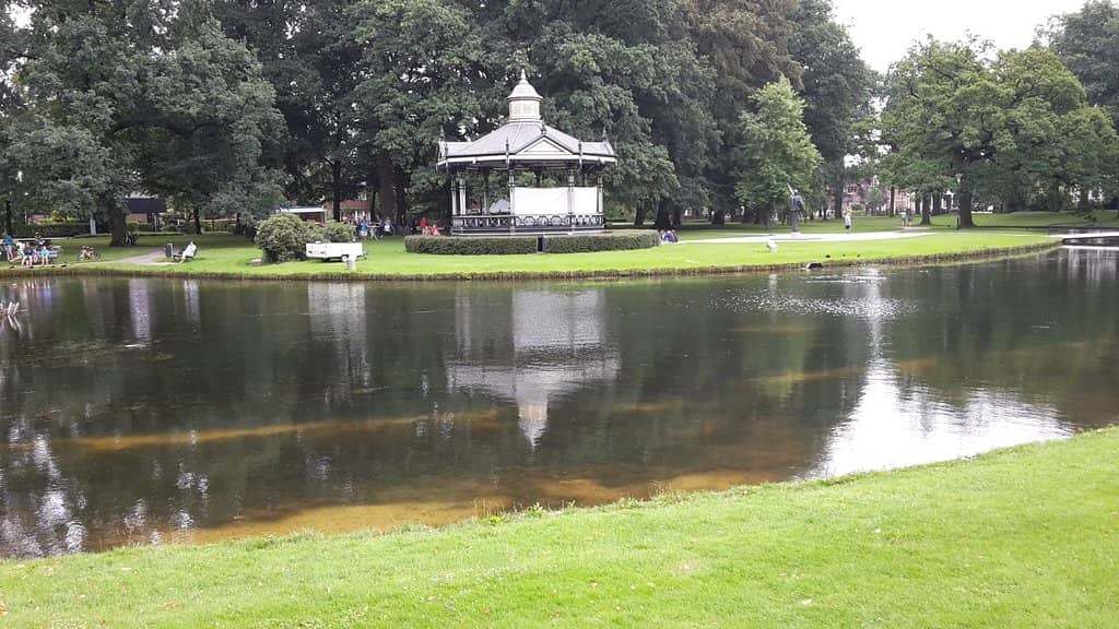 Tranquil Lake Views