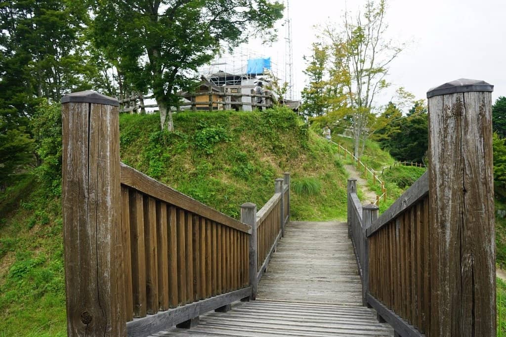 Lush Greenery and Nature