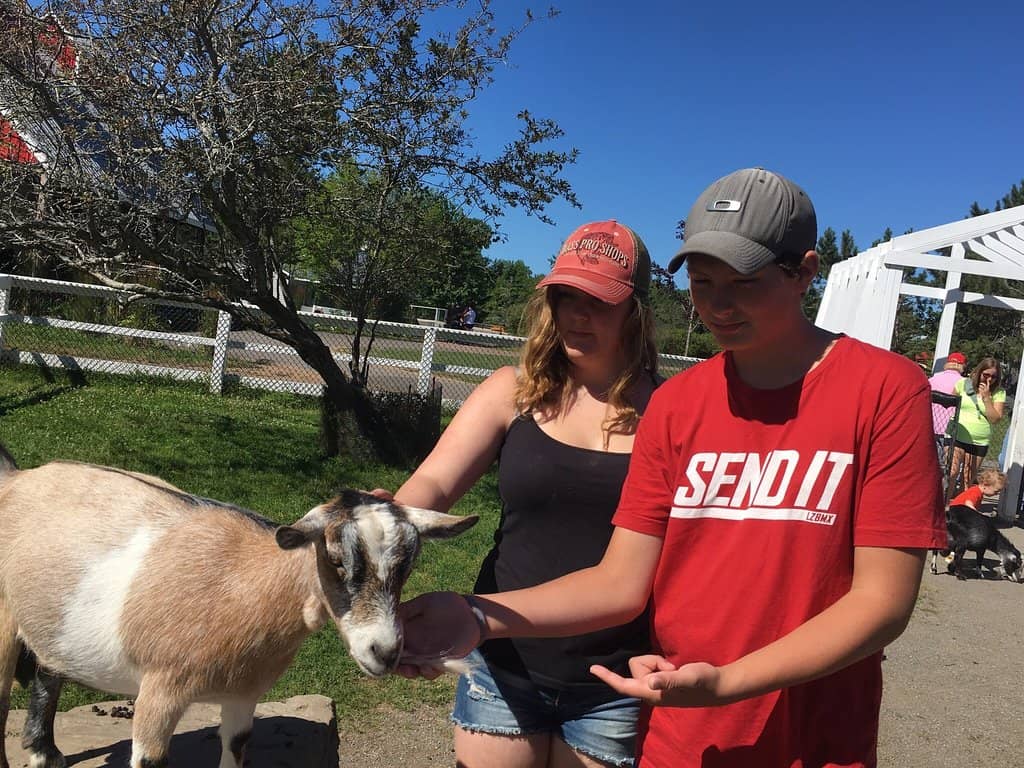 Diverse Animal Encounters