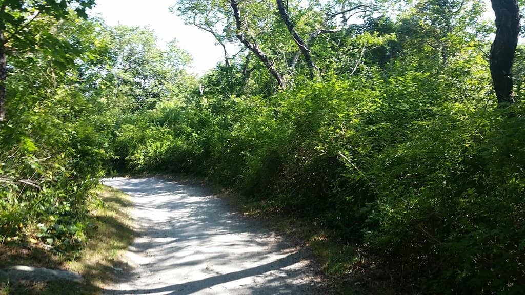 Rocky Trails