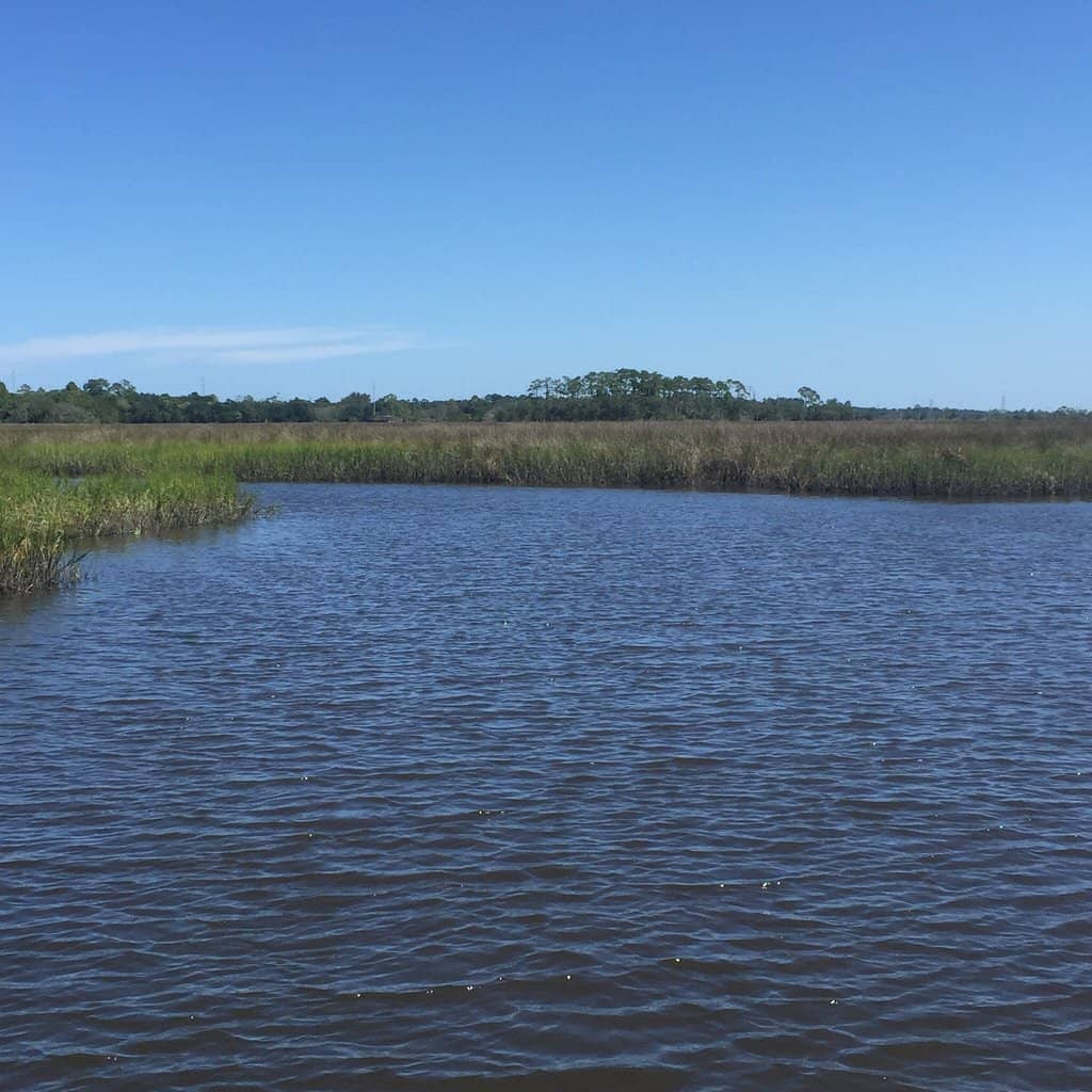 Fishing and Viewing Pier