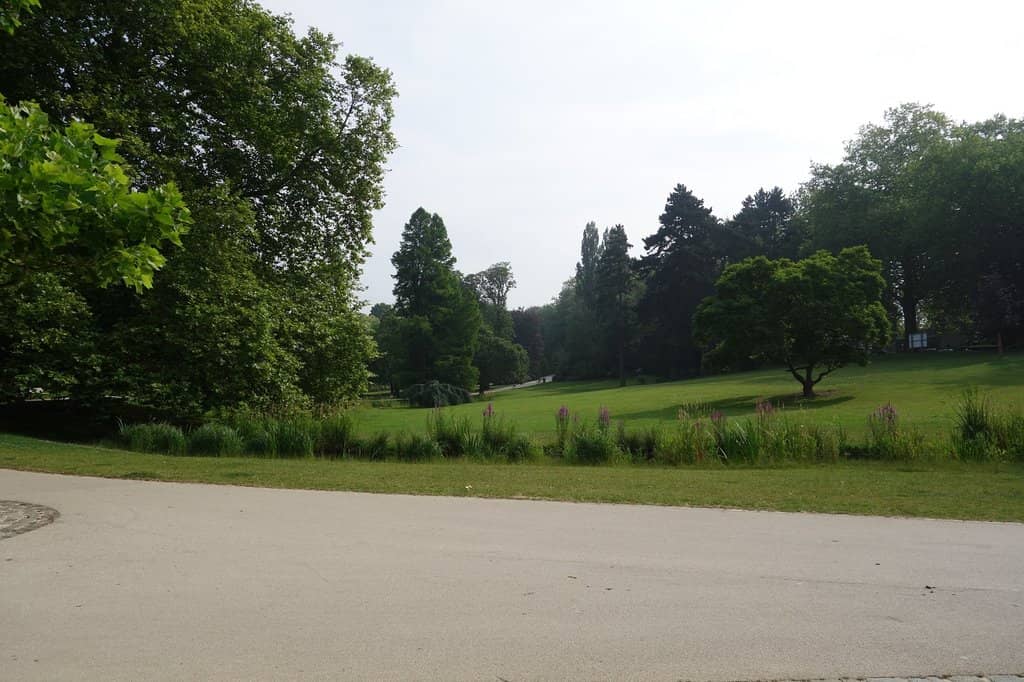 Tranquil Waterfalls & Rock Gardens