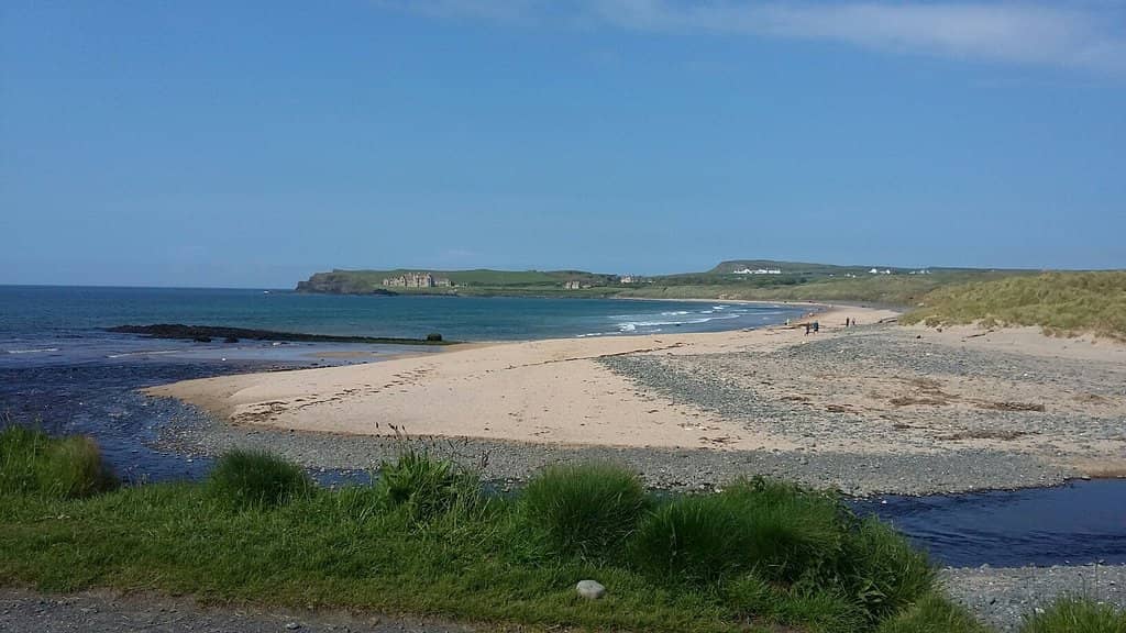 Rock Pool Exploration