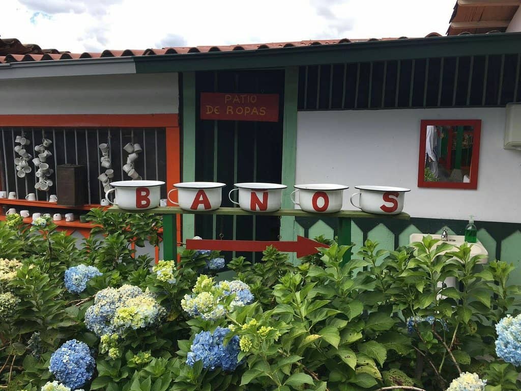 Seed to Cup Coffee Journey