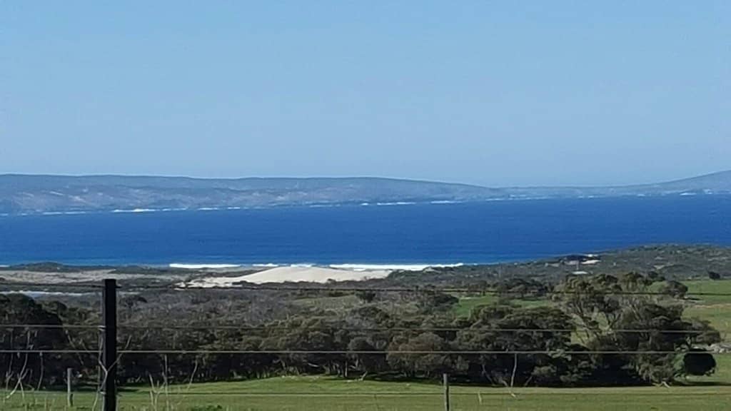 Survivor's Story Location