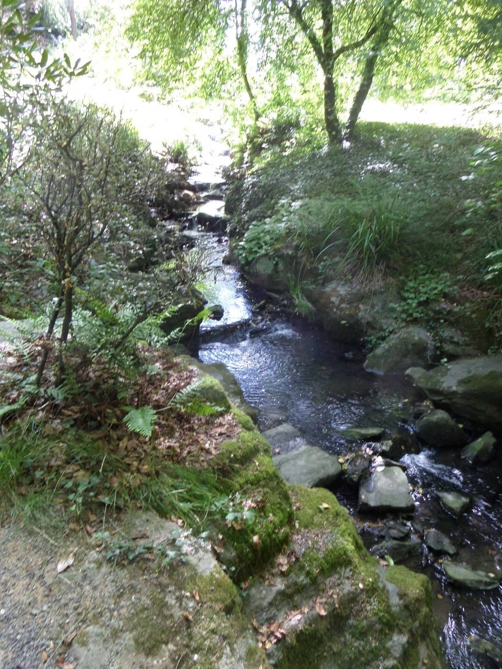 Vertical photo
