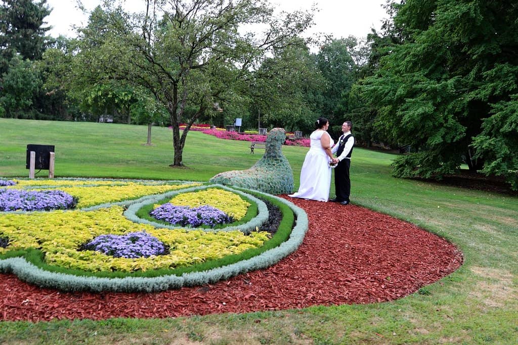 Landscaped Gardens