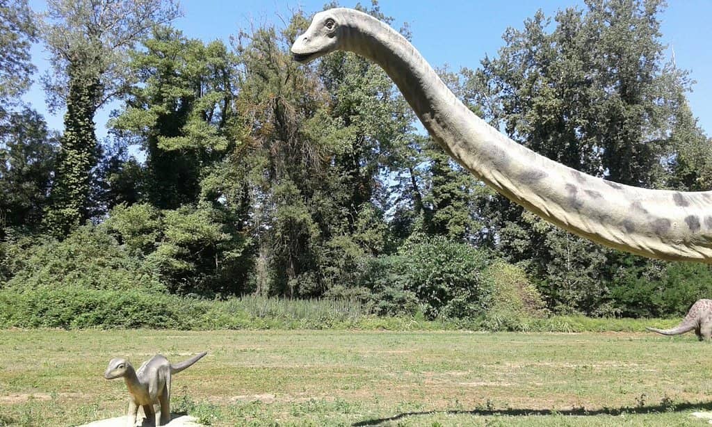 Escape Room Adventures