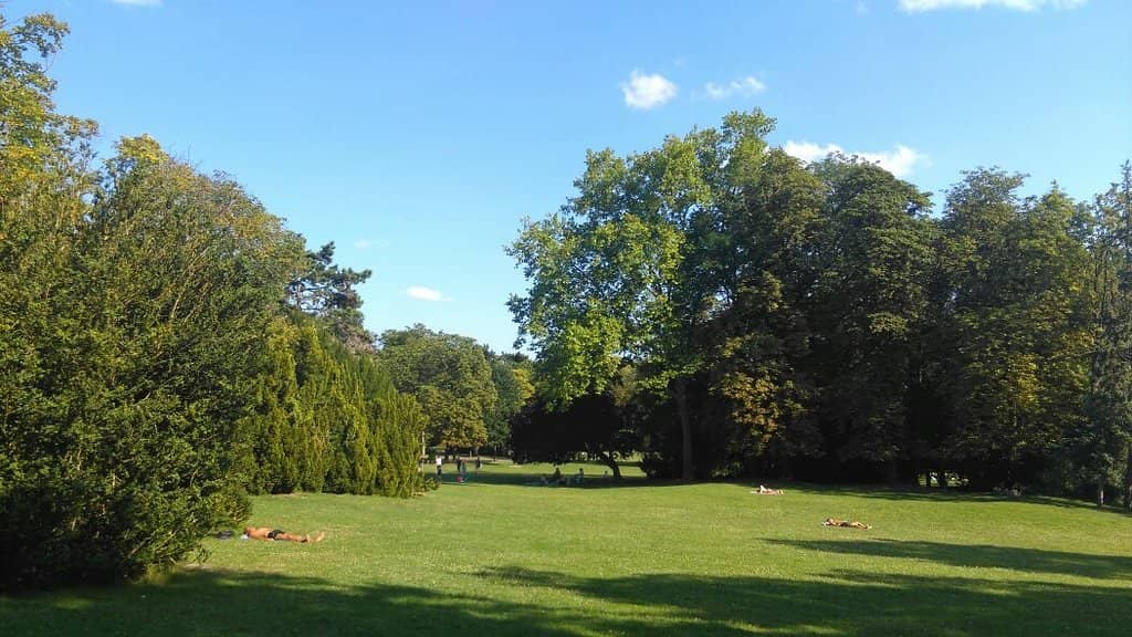 Shady Tree Canopies