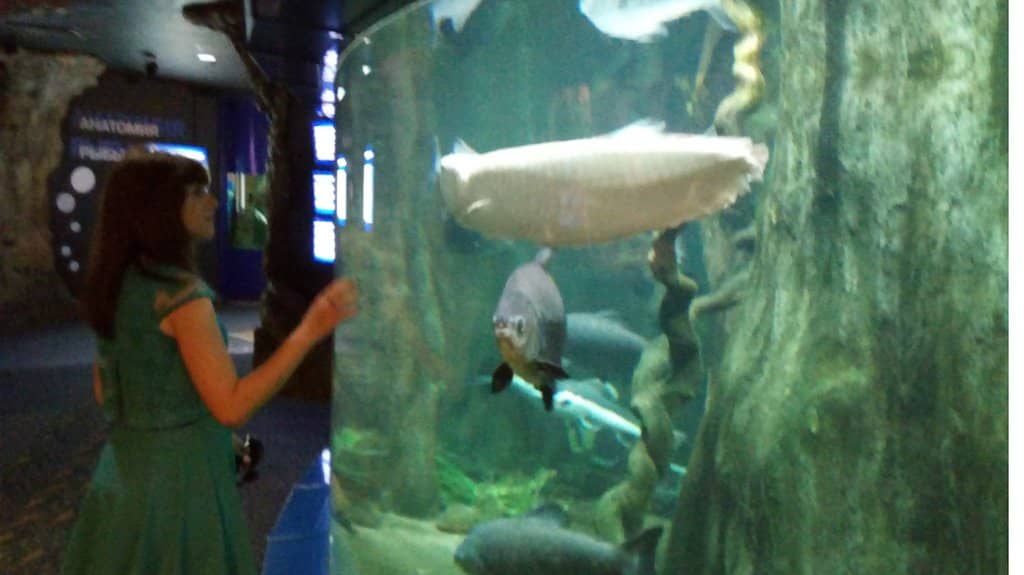 Diverse Marine Life Displays