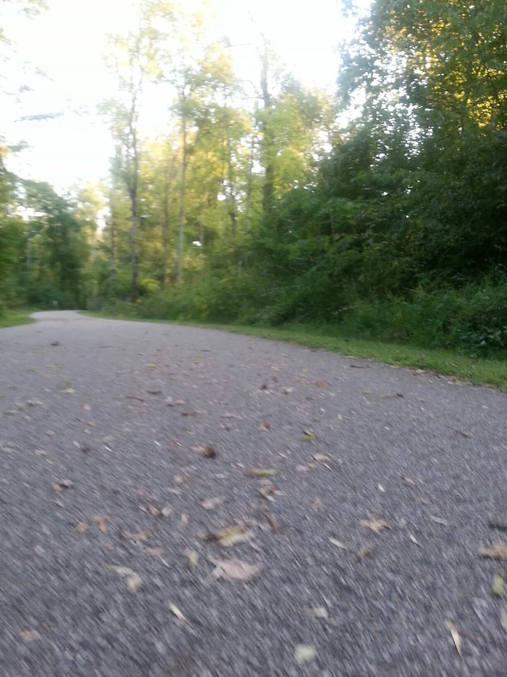 Disc Golf Course