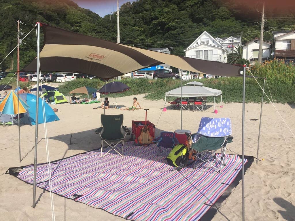 Grassy Shade Areas