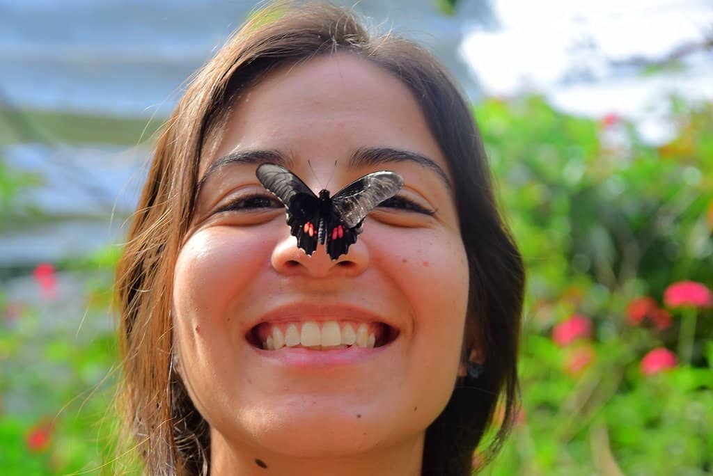 Wild Bird Encounters