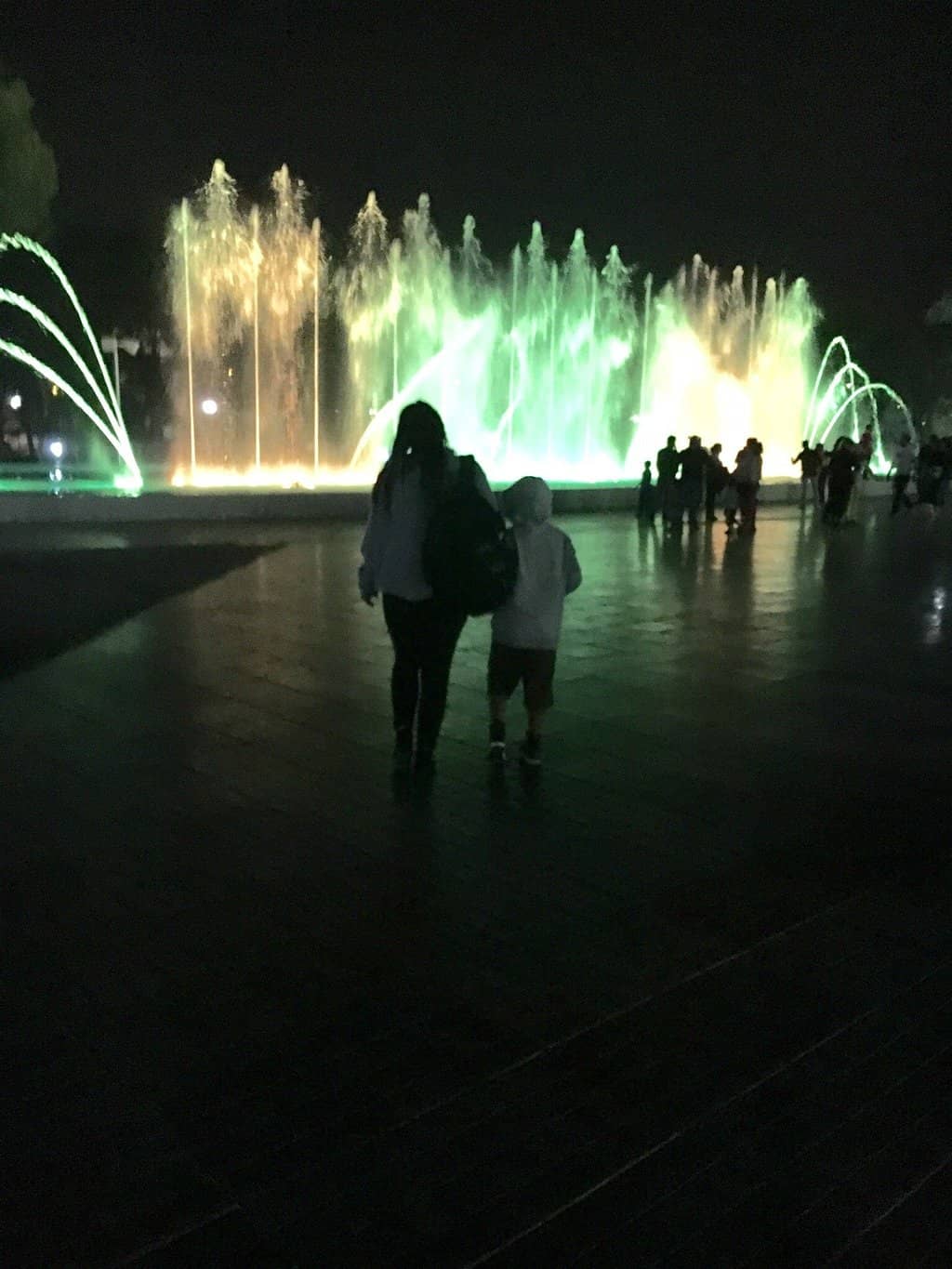 Music & Light Show