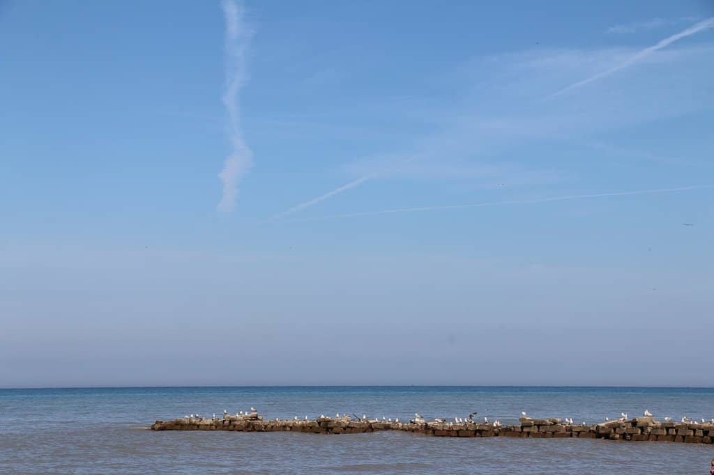 Vertical photo
