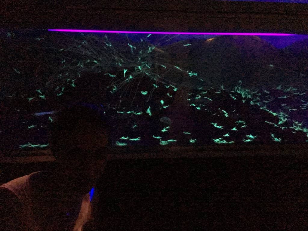 Durango Cinema History