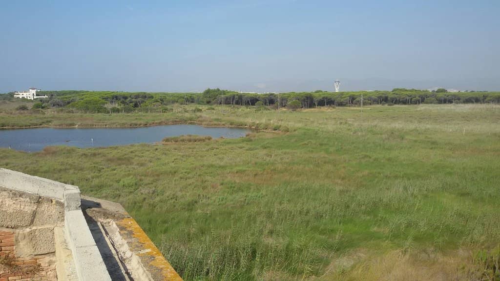 Interpretive Center