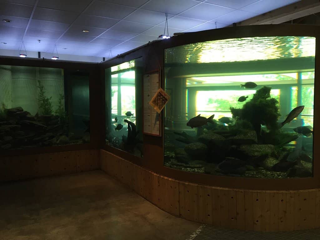 Monthly Scavenger Hunts