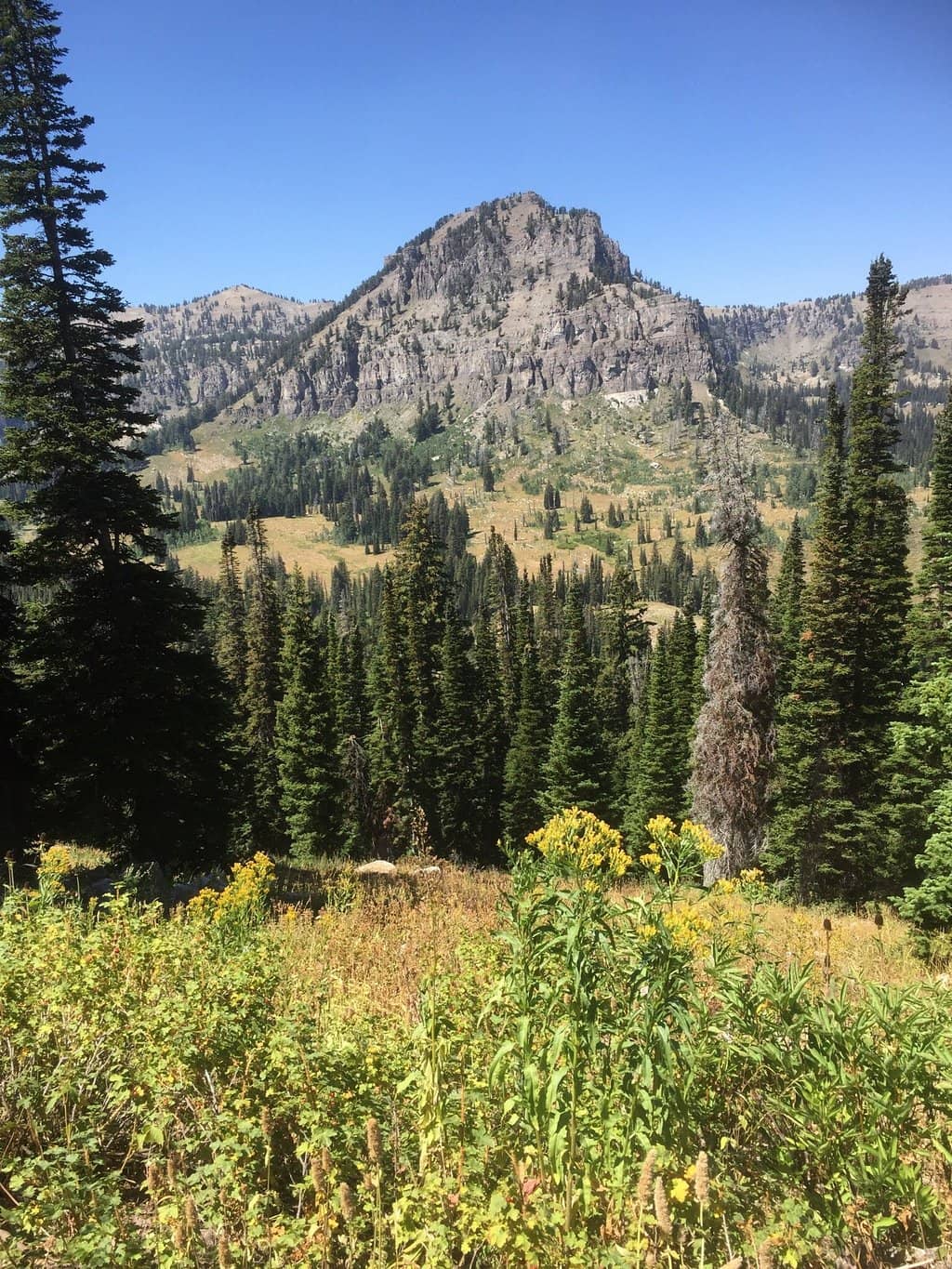 Dramatic Cliffside Scenery